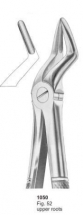  Fig. 52 upper roots 